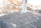 Bull Creek SAtree-transplanting-4.jpg; ?>